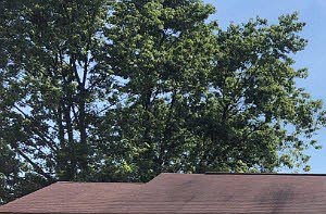 6194 Ridgewood Ct. Florence, KY 41042